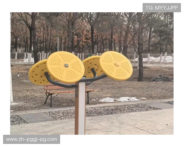 西湖健身器材：特色健身设备推荐